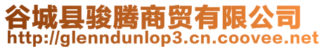 谷城縣駿騰商貿有限公司