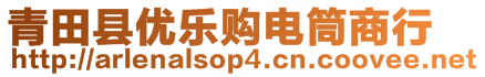 青田縣優(yōu)樂購(gòu)電筒商行