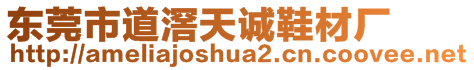 東莞市道滘天誠(chéng)鞋材廠