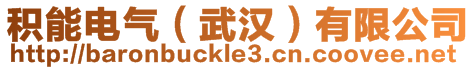積能電氣（武漢）有限公司