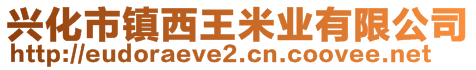 兴化市镇西王米业有限公司