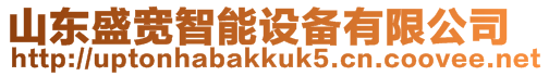 山東盛寬智能設備有限公司