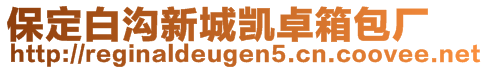 保定白沟新城凯卓箱包厂