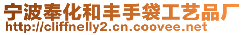 寧波奉化和豐手袋工藝品廠