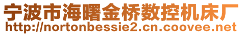 寧波市海曙金橋數(shù)控機床廠