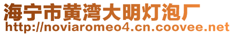 海寧市黃灣大明燈泡廠