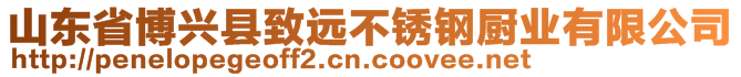 山東省博興縣致遠(yuǎn)不銹鋼廚業(yè)有限公司