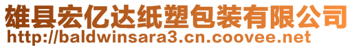 雄縣宏億達(dá)紙塑包裝有限公司