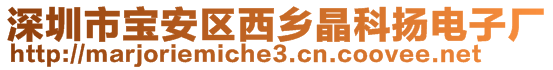 深圳市寶安區(qū)西鄉(xiāng)晶科揚電子廠