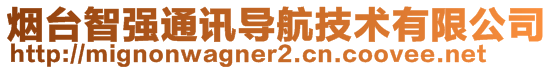 煙臺智強通訊導(dǎo)航技術(shù)有限公司