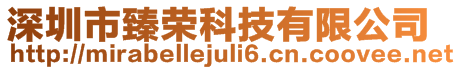 深圳市臻榮科技有限公司