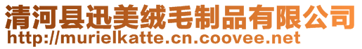 清河縣迅美絨毛制品有限公司