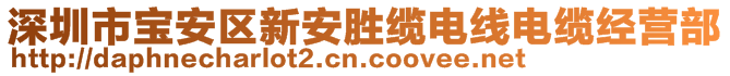 深圳市寶安區(qū)新安勝纜電線(xiàn)電纜經(jīng)營(yíng)部