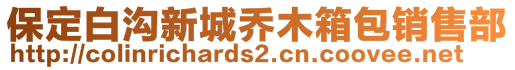 保定白沟新城乔木箱包销售部