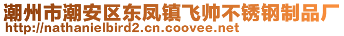 潮州市潮安區(qū)東鳳鎮(zhèn)飛帥不銹鋼制品廠