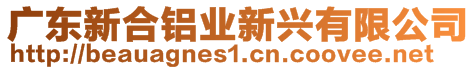 廣東新合鋁業(yè)新興有限公司