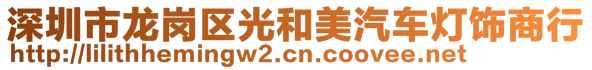 深圳市龙岗区光和美汽车灯饰商行