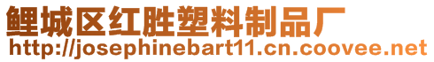 鯉城區(qū)紅勝塑料制品廠