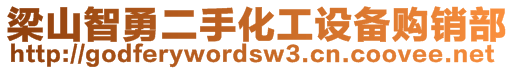 梁山智勇二手化工設(shè)備購銷部