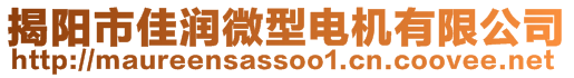 揭陽(yáng)市佳潤(rùn)微型電機(jī)有限公司