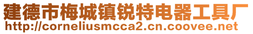 建德市梅城镇锐特电器工具厂