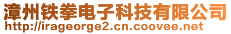 漳州铁拳电子科技有限公司