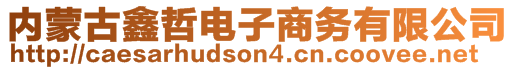 內(nèi)蒙古鑫哲電子商務(wù)有限公司