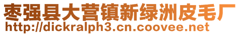 棗強(qiáng)縣大營(yíng)鎮(zhèn)新綠洲皮毛廠