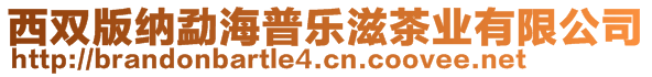 西雙版納勐海普樂滋茶業(yè)有限公司