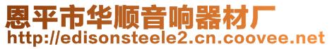 恩平市华顺音响器材厂