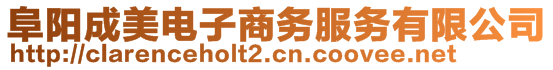 阜陽成美電子商務(wù)服務(wù)有限公司