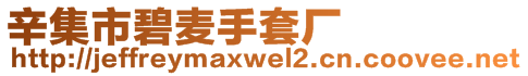 辛集市碧麥?zhǔn)痔讖S