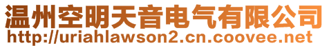 温州空明天音电气有限公司