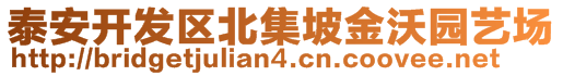 泰安開發(fā)區(qū)北集坡金沃園藝場