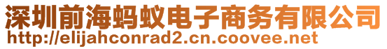 深圳前海螞蟻電子商務(wù)有限公司