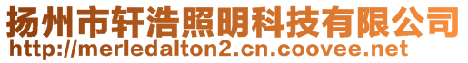 揚州市軒浩照明科技有限公司