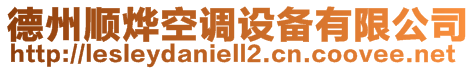 德州順燁空調設備有限公司