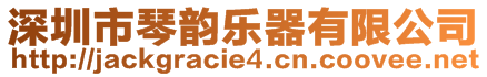 深圳市琴韻樂器有限公司