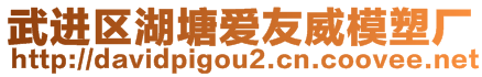 武进区湖塘爱友威模塑厂