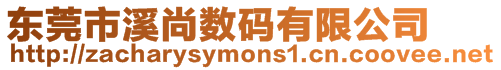 東莞市溪尚數碼有限公司