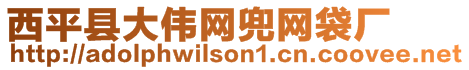 西平縣大偉網(wǎng)兜網(wǎng)袋廠