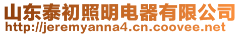 山東泰初照明電器有限公司