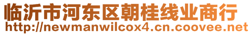 臨沂市河東區(qū)朝桂線業(yè)商行