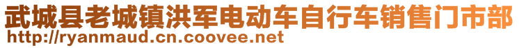 武城縣老城鎮(zhèn)洪軍電動車自行車銷售門市部