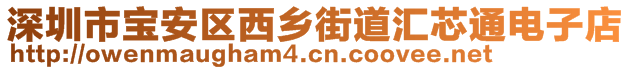 深圳市宝安区西乡街道汇芯通电子店