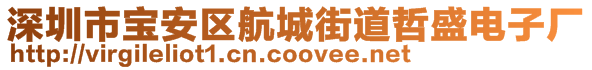 深圳市寶安區(qū)航城街道哲盛電子廠