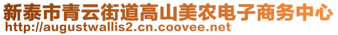 新泰市青云街道高山美農(nóng)電子商務(wù)中心