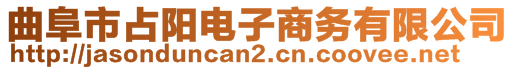 曲阜市占陽電子商務(wù)有限公司