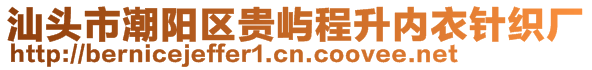 汕頭市潮陽(yáng)區(qū)貴嶼程升內(nèi)衣針織廠