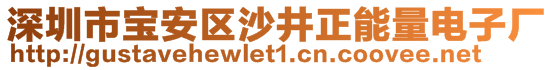 深圳市寶安區(qū)沙井正能量電子廠